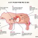 성수 이미지