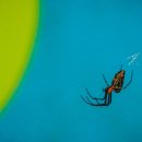 갑진한의원 이미지