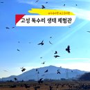 장유휴게소(식당) | 경남 고성 독수리 생태체험관 생태 탐조 프로그램 체험 후기