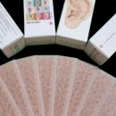 귀건강이혈테라피 이미지