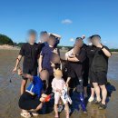 엘로망 | 엘로망펜션에서 몽산포갯벌체험 1박2일 (맛조개캐는법)