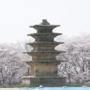 익산시치매상담센터 이미지