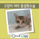 남창미르동물병원 이미지