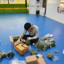 용인대석천태권도 이미지