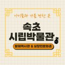 산대주유소 | 강원도 속초 여행) 속초시립박물관 / 볼거리와 체험 가득 아이들과 가볼만한곳