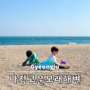 감포도서관 | 경주 나정고운모래해변 감포 갈만한 곳 아이랑 모래놀이