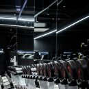 미녀와 야수짐 이미지