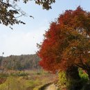 전북 완주 #고산자연휴양림 탐방 #안수사(1)