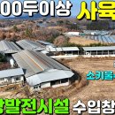 성주부동산공인중개사사무소 이미지