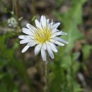 들놀이공원 이미지