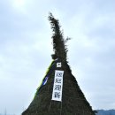 낙동라이브 이미지