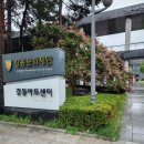 영유아교수방법 | 조선미 교수의 현실 육아 솔루션 후기