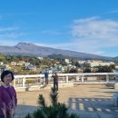 신신호텔 서귀포 이미지