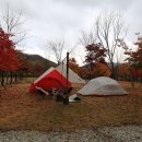 용담오토 이미지