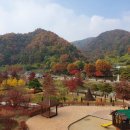 별천지공원 이미지