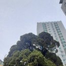 향나무쉼터 이미지