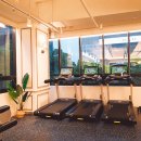 나인핏 피티 이미지