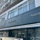 돌삼(Dolsam) 이미지