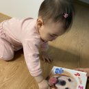 Gentle 멍멍 | 아기책추천 P is for Puppy / 강아지 촉감책 퍼피책