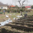 백마농장3 이미지