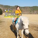 법인포니랜드 | 울산 포니랜드 양떼목장 어린이 승마체험 아이와 동물 먹이주기