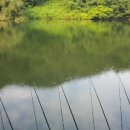 와우제 이미지