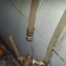 대성건강원 이미지