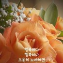 행복한날 Daum카페