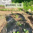 오뚜기농장 이미지