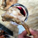 닥엔돈스 이미지