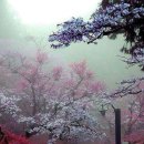 여행 일본어 중급 이미지