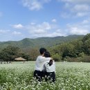 곡성읍 신기1구 마을회관 | 2023 청주ㅣ추정리 메밀밭, 인문아카이브 양림&amp;후마니타스, 삼겹살거리