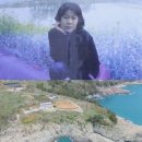 Y펜션 네이버블로그