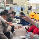 동물은내친구 | [부산] 마리앤쥬 - 동물들을 쓰다듬고 싶을 때(시간, 주차, 가격, 후기)