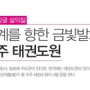 전진태권도 이미지