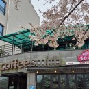 400도화덕피자&화덕샌드위치대구혁신도시 네이버블로그