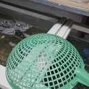 대한수산 이미지