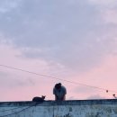 어린왕자 시골집 이미지