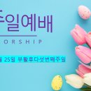 보아스 전자 이미지