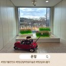 영암군립하정웅미술관 | 눈 녹은 겨울날, 아이들과 다녀온 영암군립 하정웅 미술관