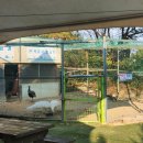 무룡농장 이미지