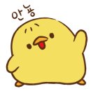 안경진정성 다산점 이미지