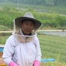 의성대표벌꿀농원