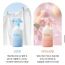 온더바디 | 다이소 풋샴푸 추천! 온더바디 국민템 코튼향 내돈내산 후기 (+발냄새 케어)