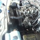 신영 모터스 이미지