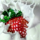 오로정승마을 영농조합법인 이미지