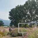 원두막목장 이미지