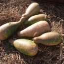 수촌농장 이미지