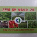 정선가슬비농원