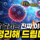 암이 폭증하는 진짜 이유, 20년차 의사는 이렇게 진단합니다 (최석재 교수 초대석) 이미지